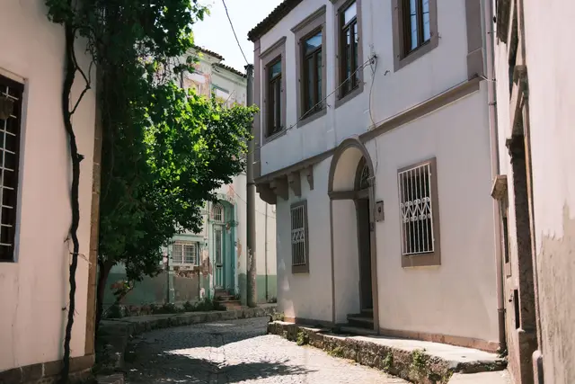Ayvalık'ta tarihî taş evlerin sıralandığı güneşli dar sokak