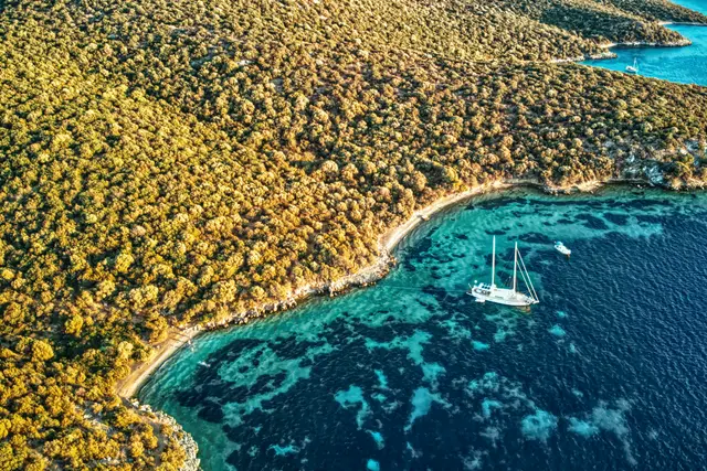 Çam ormanlı bir koyun turkuaz suyunda demirli yelkenli, havadan