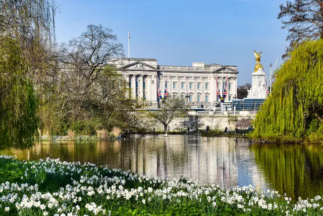 St James's Park gölünün ardında Buckingham Palace