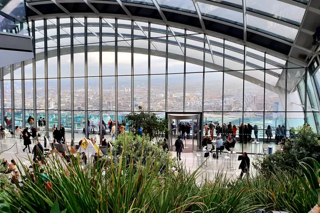 Sky Garden'ın cam kubbesi altında bitkiler ve Londra manzarası