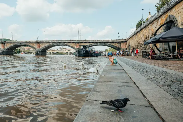 Palacký Köprüsü yakınında Vltava kıyısı
