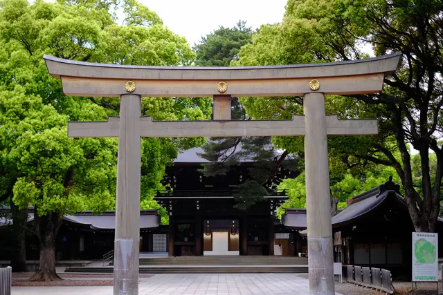 Ağaçlar arasında Meiji Jingu girişindeki büyük ahşap torii