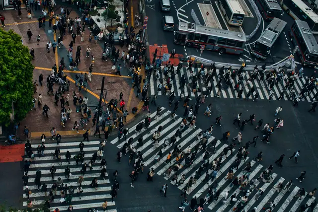 Yukarıdan bakıldığında Shibuya kavşağında karşıdan karşıya geçen yayalar